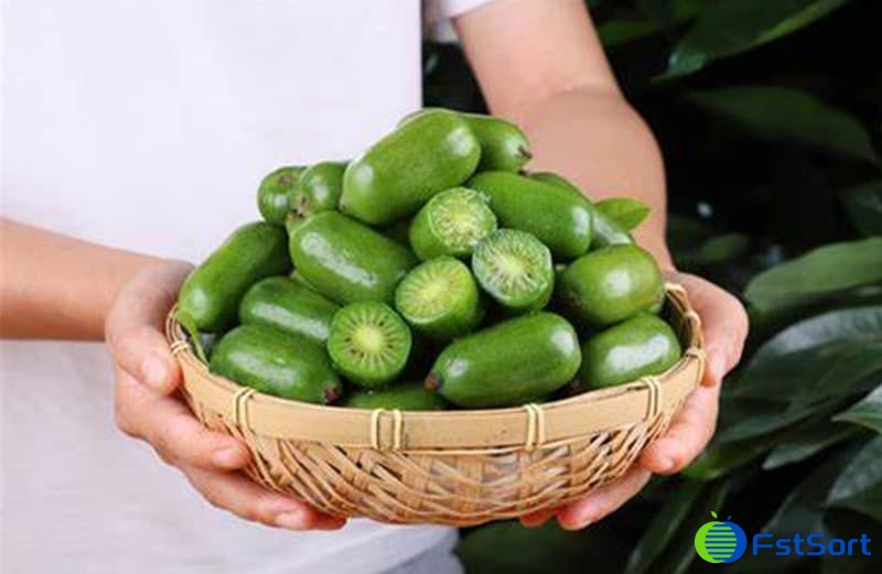 images/1701762793263kiwi francés.jpg